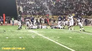 TigerDetails: Kyle Edwards Highlights