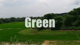 Green Vlog | Natural Beauty