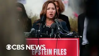 Epstein survivors, Democratic lawmakers speak ahead of House vote | full video
