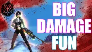 GW2 - WvW Rifle Berserker - Guild Wars 2 Build - Warrior Gameplay End of Dragons
