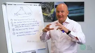 Relationship Systems Intelligence - Part 5