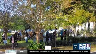 NOLA Tree Project Rebuilds New Orleans&rsquo; Canopy and Community