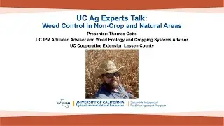 UC Ag Experts Talk: Weed Control in Non-Crop and Natural Areas