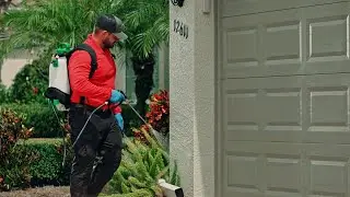 All U Need Pest Control | Our Service