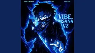 VIBE INSANA, Vol. 2 (Slowed)