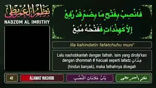 NADHOM FULL 254 BAIT IMRITY