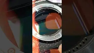 Cleaning Sensor. #r6mii #canon #sensor #sony #cleaning