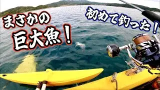泳がせ&ルアーで特大の一本！