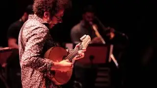 Tamanduá - Brasilidade Geral e Hamilton de Holanda