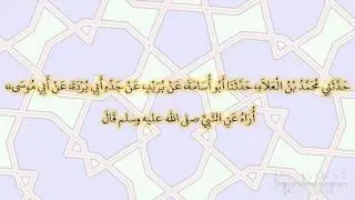 صحيح البخارى - كتاب المغازى - 3987 - باب