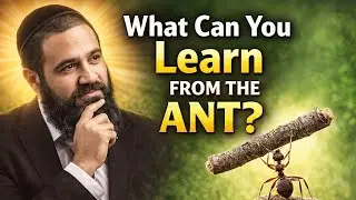 Rabbi Yaron Reuven - What Can You Learn from the Ant?
