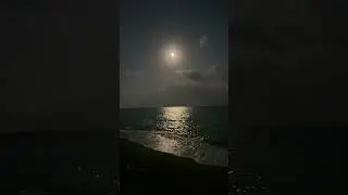 Moonlight. #shortvideo #sea #september #night #nightmagic #mare #moon #romantic