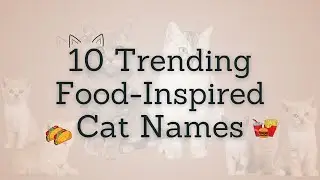 10 Trending Food-Inspired Cat Names #trending #catnames #foodcatnames