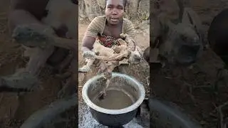 unfiltered moment of Hadzabe tradition: hunting and roasting baboon in the wild.&rdquo;