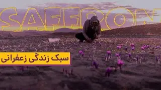 Persian Saffron Field at Night & People Lifestyle in Iran | زندگی به سبک زعفران