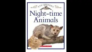 Night-Time Animals - Book Read Aloud