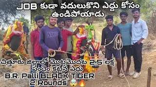 #2.5 lakh పందెం 🤯#blacktiger 🐯 #interview | #jallikattubulls #interviewtips  @LOKI_FOR_JALLIKATU