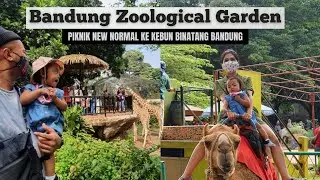 BANDUNG ZOOLOGICAL GARDEN || Piknik New Normal Ke Kebun Binatang Bandung