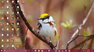 how to download microsoft office 2017 for free