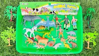 Satisfying Mini Diorama Animals and dinosaur ASMR #asmr #dinosaur #animals #toys 