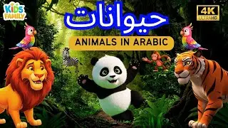 Animal Sounds | Animals Names for kids  اصوات حيوانات للاطفال بدون موسيقى  | اسماء الحيوانات