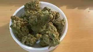 420 Evolution 30/1 CA PCH: Peach Chementine