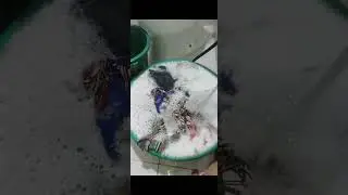 Bumili c madam ng washing machine na sing liit lang ng dwende..