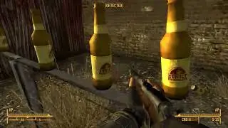 When you use a melee build in Fallout New Vegas