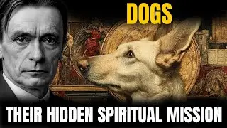 Why Dogs Came Into Your Life | The Hidden Spiritual Mission of Dogs &ndash; Rudolf Steiner