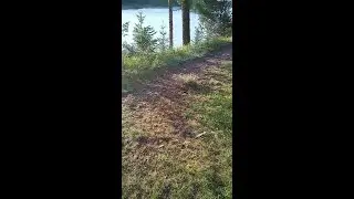 Chat on the beautiful Athabasca River in the Rocky Mountains of Alberta, Canada