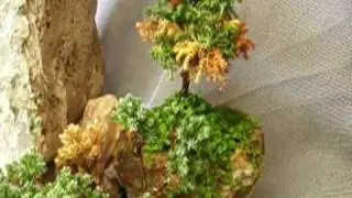 Penjing o saikei de coniferas y cascada