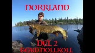 NORRLAND | DEL 2 | 2021 | NÄR ÖRINGFISKE BLEV GÄDD/ABBORRE FISKE | ANABOLA GÄDDOR DELUX