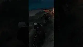 Большинство игроков пропустили эту редкую встречу в The Witcher 3.