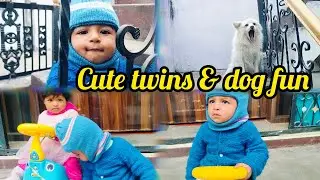 Cute twins ki masti aur pet dog leo ko roast 😂🤣#Trending #cute #baby #love #youtubevideo #vlog 
