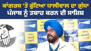 ਵਿਧਾਇਕ ਅਤੇ ਮੁੱਖ ਬੁਲਾਰਾ 'ਆਪ' ਪੰਜਾਬ, ਕੁਲਦੀਪ ਸਿੰਘ ਧਾਲੀਵਾਲ ਦੀ ਪ੍ਰੈੱਸ ਕਾਨਫ਼ਰੰਸ, ਅੰਮ੍ਰਿਤਸਰ ਤੋਂ Live