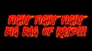 FIGHT FIGHT FIGHT BIG BAG OF RATS!!! Inspired by The Stephanie Miller Show