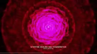 Intestine Healing and Regeneration by Sapien Medicine