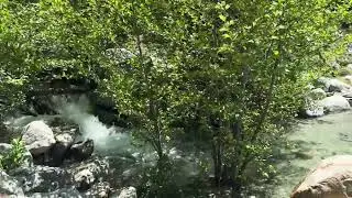 Powerful Waterfall 💦 ⛰️ Mount Baldy California #hiking #moutain #waterfall #nature 