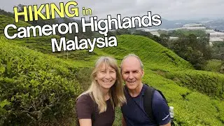 Cameron Highlands Malaysia | Travel Guide and Hiking Adventures!
