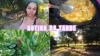 🧑‍🌾Rotina da tarde aqui na roça/ mostre como está nossa roça de mantimentos/🍝 sopa simples na janta 