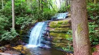 Hike from Three Forks to Long Creek Falls
