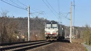 MBM rail 141 018 + 193 902 Sv 56341 (Děč&iacute;n hl.n. z&aacute;p.n. - Kol&iacute;n) Roztoky Žalov 23.2.2019