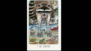 THE STOLEN CHILD TAROT FULL FLIP THROUGH