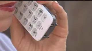 Savvy restaurant owner sidesteps FPL scam