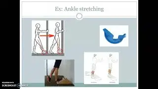 Principles of Rehabilitation