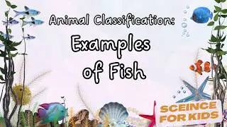 List of Fish in English | What is a fish? | Animal Classification | Science for Kids | Learn & Quiz