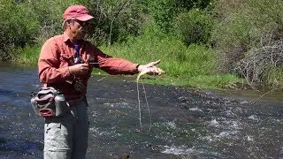 Rio Cimarron Trout Fly Fishing Public Access
