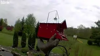Perky-Pet&reg; Squirrel-Be-Gone II Country House Wild Bird Feeder
