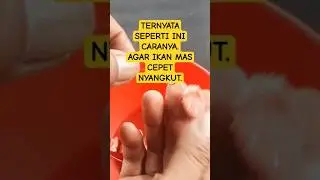 Cara pasang umpan ikan mas ke kail #vidioshortsviral #vidioshortsyoutoube.