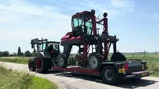 TORQ HC Trac high clearance tractor cultivating / weeding in apple tree nursery